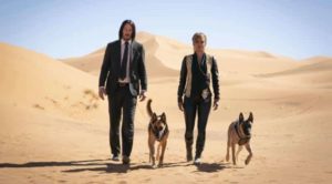 John Wick 3 Review Szenenbild003