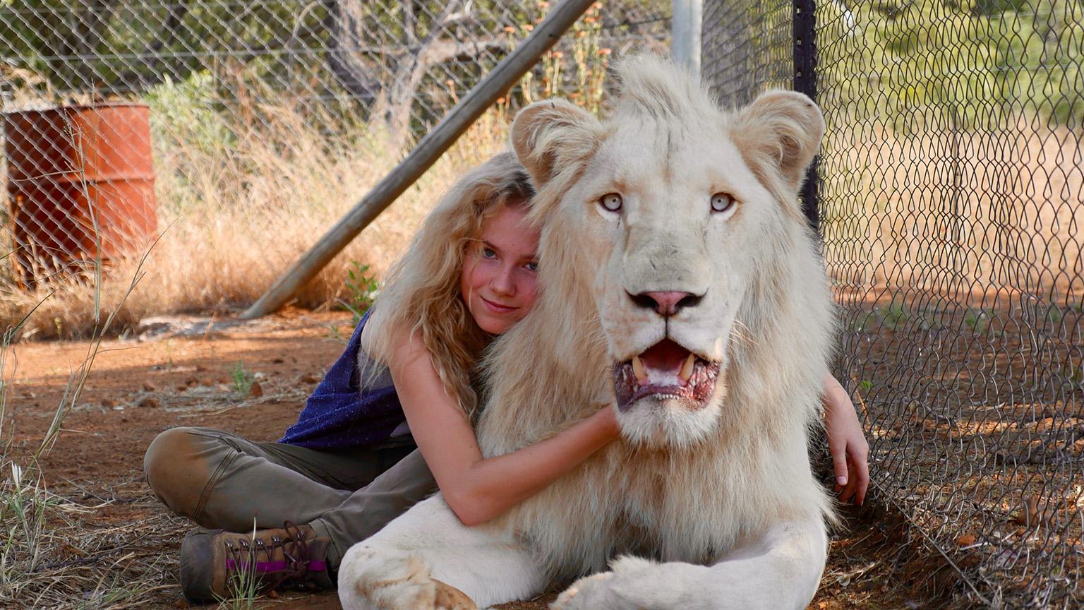 Mia und der weiße Löwe Artikelbild