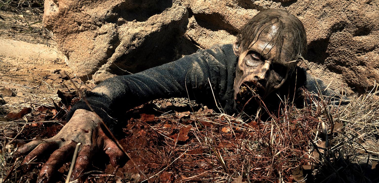 Fear the Walking Dead Staffel 5 Filme Shop kaufen