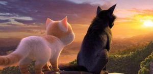 Cats – Ein Schnurriges Abenteuer 2019 Film Kaufen Shop