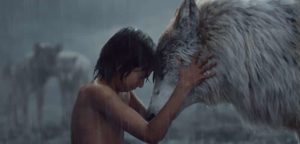 The Jungle Book 2016 Film Shop kaufen 4K UHD