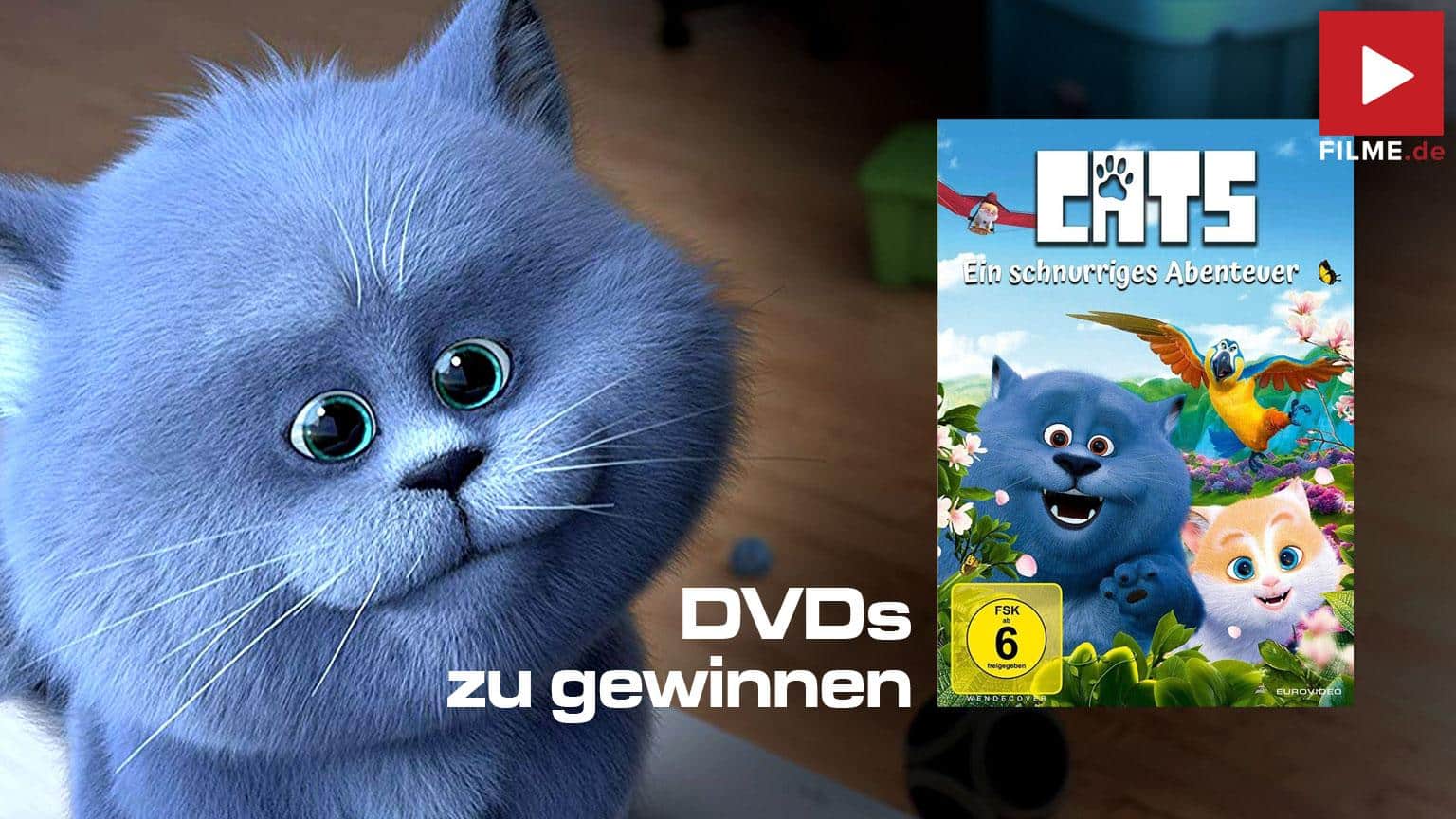 Cats ein schnurriges Abenteuer Gewinnspiel Artikelbild
