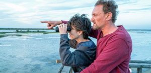 Der Junge und die Wildgänse 2019 Film Kaufen Shop Kritik News Review