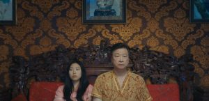 The Farewell 2019 Film Review Kritik News Kaufen Shop