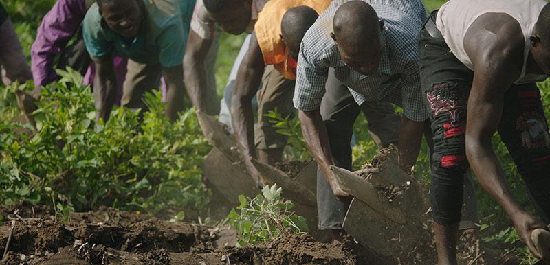 THE GREAT GREEN WALL 2020 Film Dokumentation Film Kaufen Kritik News