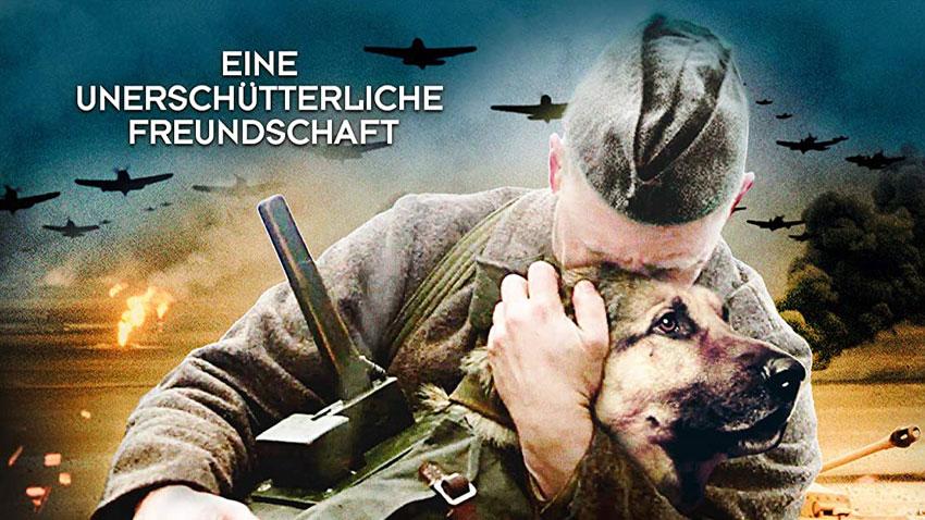 The War Dog - Ihre letzte Hoffnung [Blu-ray] Film 2019 Artikelbild