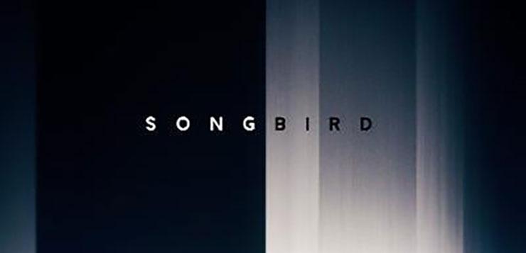Songbird Film Michael Bay News Kritik