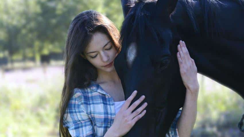 Black Beauty Film 2019 Disney+ Constantin Film Artikelbild