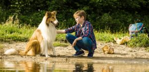 Lassie – Eine abenteuerliche Reise 2020 Film Kaufen Shop News Trailer Review Kritik