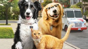 CATS & DOGS 3 - PFOTEN VEREINT! Kino Start Film 2020 Artikelbild