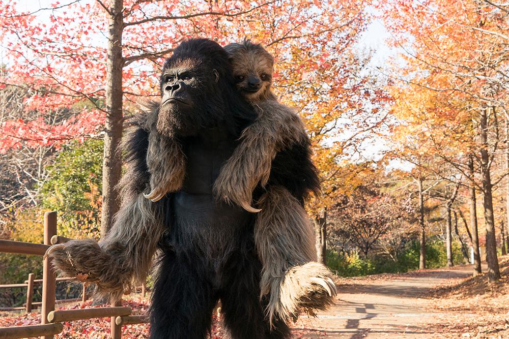Rettet den Zoo Film 2020 Blu-ray Review shop kaufen Szenenbild