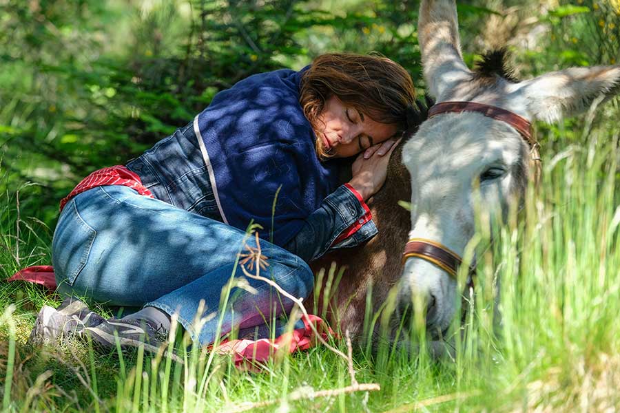 Mein Liebhaber, der Esel & ich Film 2021 Blu-ray Review shop kaufen szenenbild