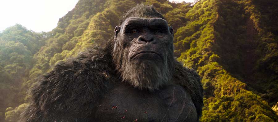 Godzilla vs. Kong – Blu-ray Review Film 2021 Szenenbild