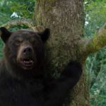 cocaine bear film 2023