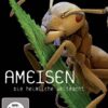 Ameisen - Die heimliche Weltmacht