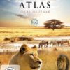 Animal Atlas - Tiere hautnah