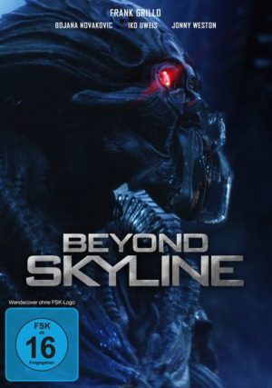 Beyond Skyline