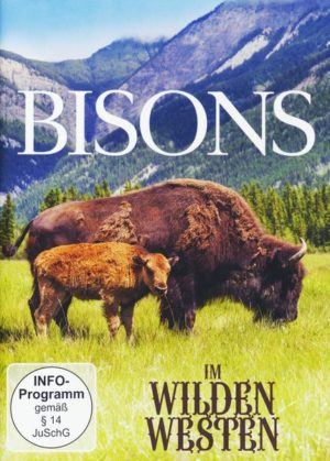 Bisons im Wilden Westen