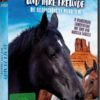 Black Beauty und ihre Freunde  [3 DVDs]
