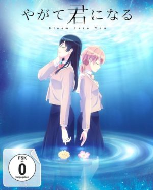 Bloom Into You - Volume 3 (Episode 9-13) im Sammelschuber