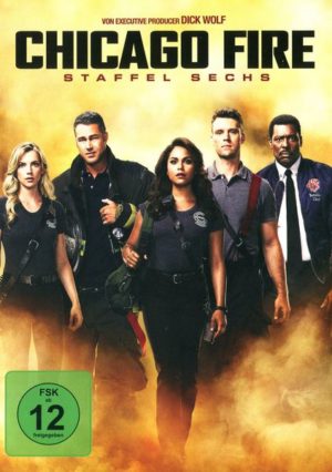 Chicago Fire - Staffel 6 [6 DVDs]