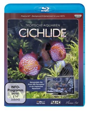 Cichlide - Tropische Aquarien