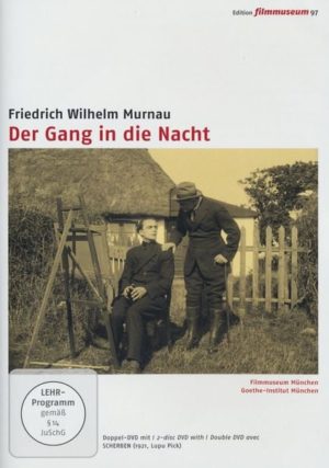 Der Gang in die Nacht  [2 DVDs]