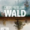Der Wilde Wald - Natur Natur sein lassen
