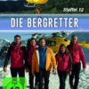 Die Bergretter - Staffel 12  [2 DVDs]