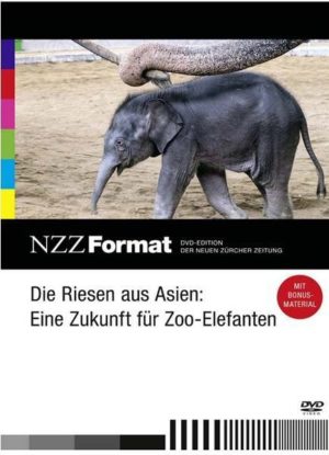 Die Riesen aus Asien: Eine Zukunft für Zoo-Elefanten - NZZ Format