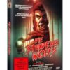 Die Stunde des Wolfs
