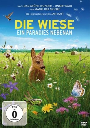 DIE WIESE - Ein Paradies nebenan