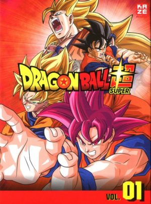 Dragonball Super - 1. Arc: Kampf der Götter - Episoden 1-17 [3 DVDs]