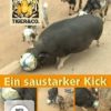 Elefant