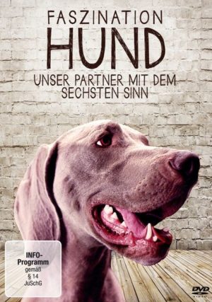 Faszination Hund - Unser Partner mit dem sechsten Sinn