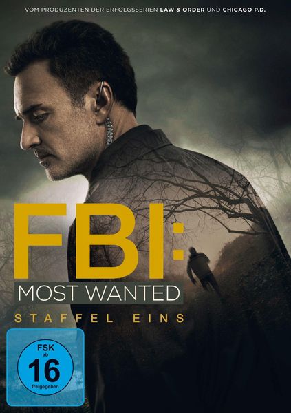 FBI: Most Wanted - Staffel 1  [4 DVDs]