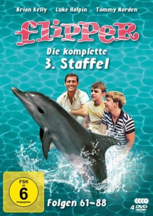 Flipper - Die komplette 3. Staffel  [4 DVDs] (Fernsehjuwelen)