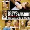 Grey's Anatomy - Die komplette fünfte Staffel  [7 DVDs]