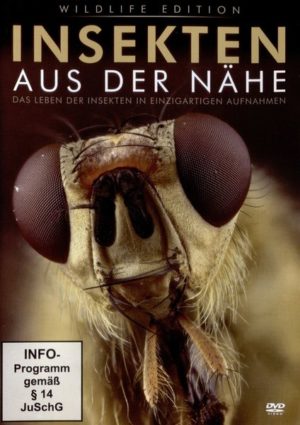 Insekten aus der Nähe