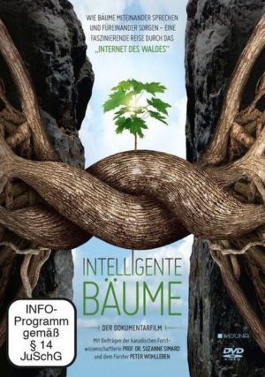 Intelligente Bäume