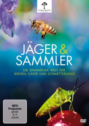 Jäger und Sammler - Die spannende Welt der Bienen