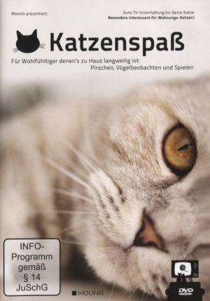 Katzenspaß