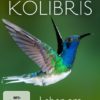 Kolibris - Leben am Limit