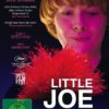 Little Joe - Glück ist ein Geschäft