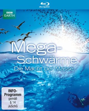 Megaschwärme - Die Macht der Masse