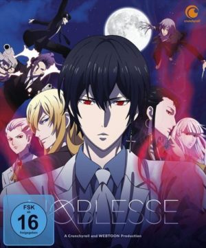 Noblesse - DVD Gesamtausgabe  [2 DVDs]