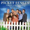 Picket Fences - Tatort Gartenzaun - Die komplette Staffel 2  [6 DVDs]