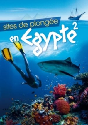 Sites de plongee en Egypte 2