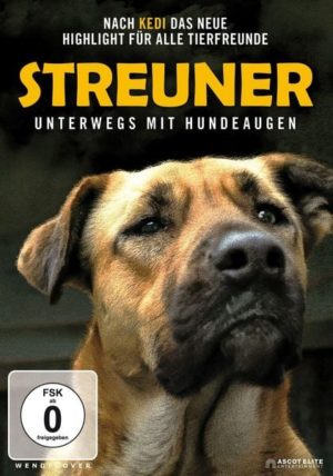 Streuner - Unterwegs mit Hundeaugen