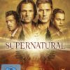 Supernatural: Staffel 15  [5 DVDs]